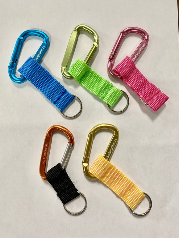 Carabiner (Assorted Colours)