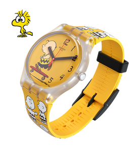 Swatch Pow Wow SO29Z101